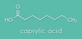 Caprylic octanoic acid molecule. Common saturated medium-chain fatty acid. Skeletal formula.