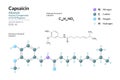 Capsaicin. Active Component of Chili Peppers. Structural Chemical Formula and Molecule 3d Model. C18H27NO3