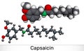 Capsaicin, alkaloid, C18H27NO3 molecule. It is chili pepper extract with non-narcotic analgesic properties. Molecular model