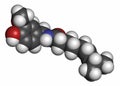 Capsaicin chili pepper molecule. Used in food, drugs, pepper spray, etc.  3D rendering. Atoms are represented as spheres with Royalty Free Stock Photo