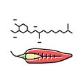 capsaicin pepper color icon vector illustration