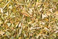 Capsella bursa-pastoris. Shepherds purse herb leaf used in herbal medicine to treat vomiting blood