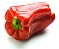 Capsicum