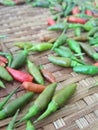 Capsicum annuum,Bird`s Eye Chilli,Thai pepper,Thai Herbals have Green chili Red chili ,Depth of Field for copyspace on brown bambo