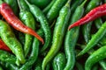 Capsicum bounty Freshly picked green chilies in close up view