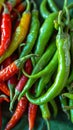 Capsicum bounty Freshly picked green chilies in close up view