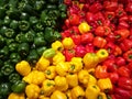 Capsicum of different colours