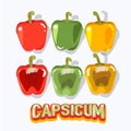 Capsicum fruit -