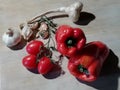 Capsicum  garlic and tomatoes for  Italian  pasta  sauce  italy Royalty Free Stock Photo