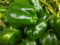 Capsicum ( ?kÃ¦ps?k?m ) is a genus of flowering plants in the nightshade family chili pepper or bell pepper fruit.