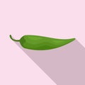 Capsicum pepper icon, flat style