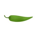 Capsicum pepper icon flat isolated vector