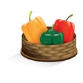 capsicums in basket. Vector illustration decorative design