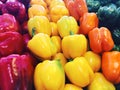 Capsicums or bell peppers