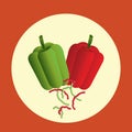 capsicums. Vector illustration decorative background design