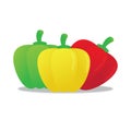 capsicums. Vector illustration decorative design