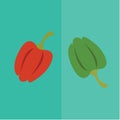 capsicums. Vector illustration decorative design