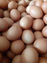 Capsule chicken eggs Royalty Free Stock Photo