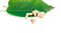 capsule on kratom leaf Royalty Free Stock Photo