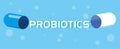 Capsule medicine probiotic icon