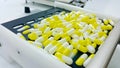 Capsules compounding in the pharmacy laboratory