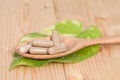 Capsules of herbs on spoon. for healthy