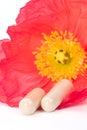 Capsules and poppy Royalty Free Stock Photo