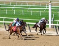 Captain Bombastic is Victorious  at Belmont Park Royalty Free Stock Photo