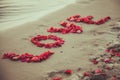 Caption word love in the sand of the sea. Love inscription from the petals of roses.