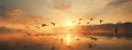 Evening sunset with birds flying over a lake water Royalty Free Stock Photo