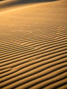 Golden Hour Sands, Pattern of the Desert Royalty Free Stock Photo