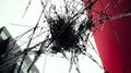 Abstract Black Ink Splatter on Red White Background Good Resolution Stock Photo Royalty Free Stock Photo