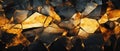 Captivating abstract texture featuring gold and black colored cracked and damaged glass, creating a unique and textured background Royalty Free Stock Photo