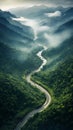 Captivating Aerial Shot Of Winding Road Through Lush Tropical Rainforest