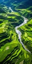 Captivating Aerial Views Of Terraced Rice Fields And River In Vietnam