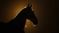 captivating arabian horse shadow on a dark surface, majestic equine elegance