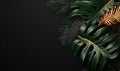 A captivating array of monstera leaves set against a black background. Created by AI