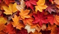 Captivating autumn beauty a mesmerizing backdrop of fall leaves adorned in vibrant hues