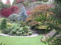 Captivating autumn foliage scenery at Queen Elizabeth Park Garden