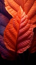 Captivating autumn foliage Vibrant leaf symbolizes natures organic beauty