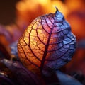 Captivating autumn foliage Vibrant leaf symbolizes natures organic beauty