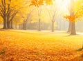 Captivating Autumn: Sunny Nature Background for Art Enthusiasts.