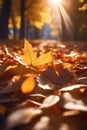 Autumn leaves sun flare lens effect nostalgic lighting cinematic atmosphere generative ai