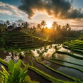 Captivating Beauty of Bali