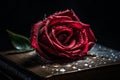 Ai Generative Red rose and old book with water drops on a black background