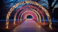 captivating christmas light tunnel