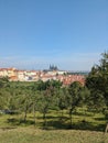 The captivating city of Prague ascending above the lush tree line, a testament to its timeless charm and architectural splendor