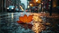 Captivating Cityscape: Lo-Fi Aesthetic Autumn Leaf Adorning Wet Street.