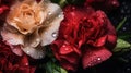 A captivating close-up of a bouquet of multicolored carnations