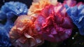 A captivating close-up of a bouquet of multicolored carnations